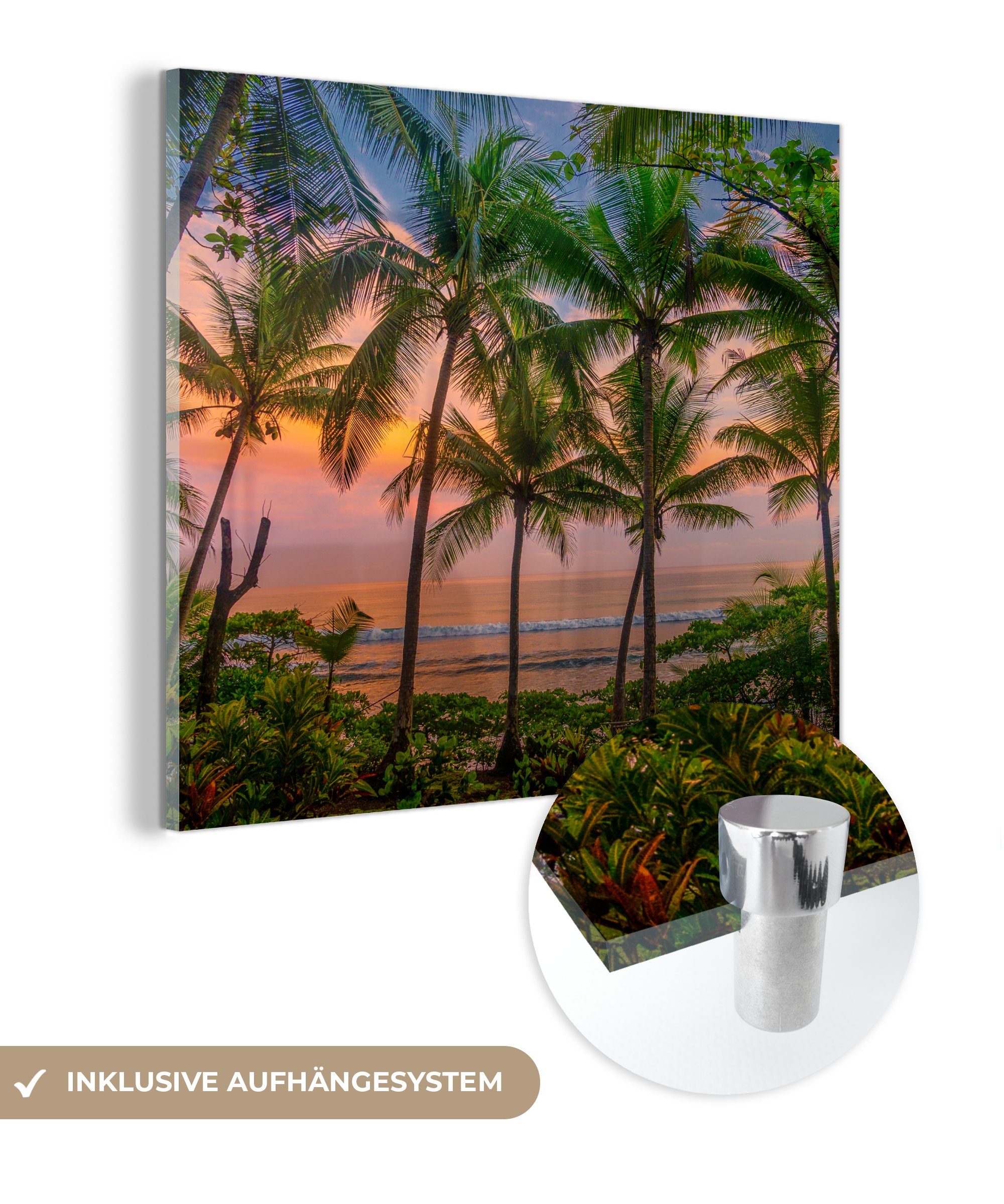 MuchoWow Acrylglasbild Palme - Tropisch - Meer, (1 St), Glasbilder - Bilder auf Glas Wandbild - Foto auf Glas - Wanddekoration