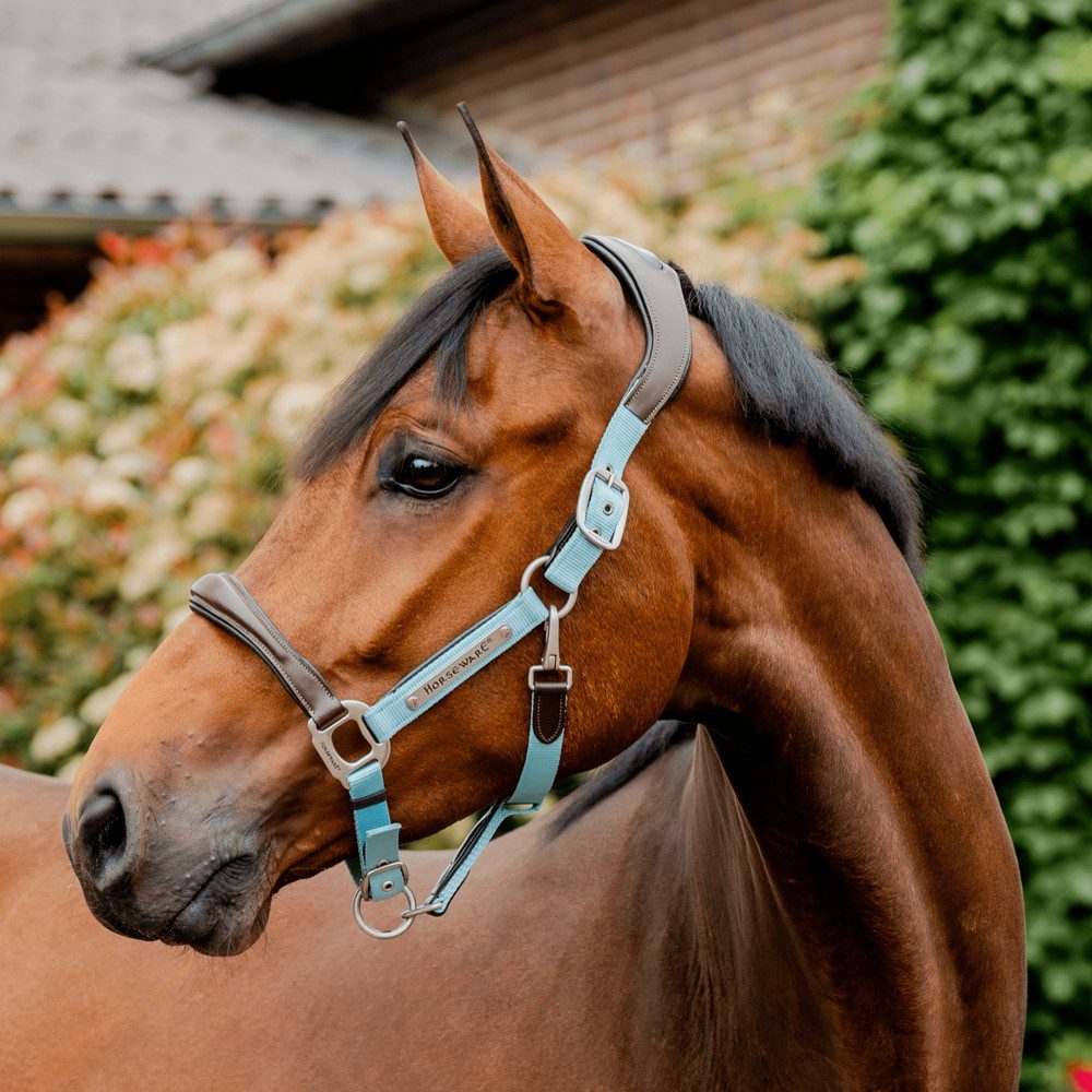 Halfter Horseware Signature Competition anatomisches Lederhalter