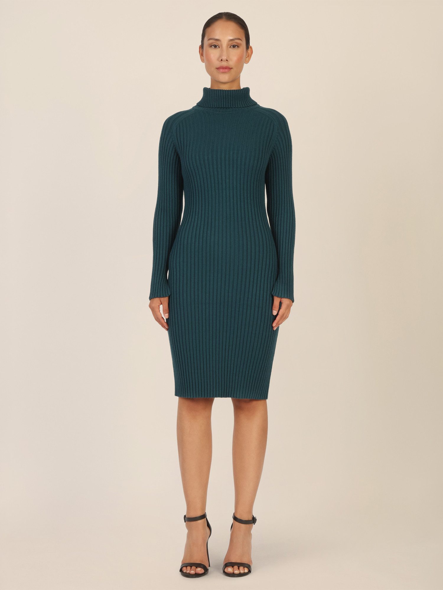 Apart Strickkleid mit Rollkragen günstig online kaufen