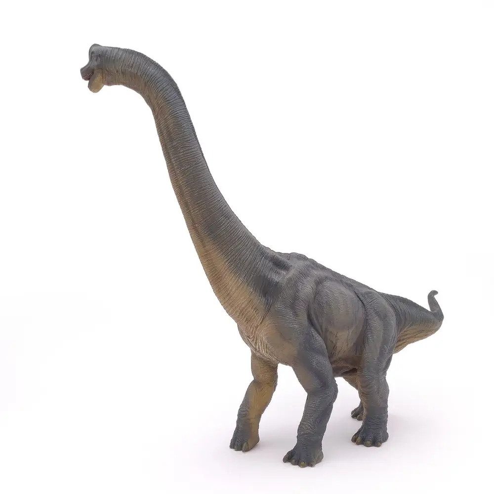 papo Actionfigur Papo 55030 Brachiosaurus