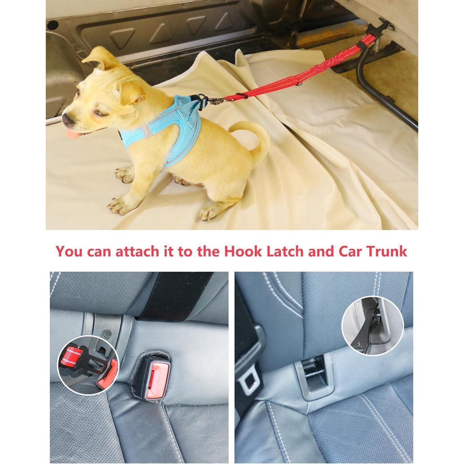 LuxusKollektion Autohundegeschirr Anschnallgurt Hund Auto Bungee Geschirr Clip Karabiner Rot