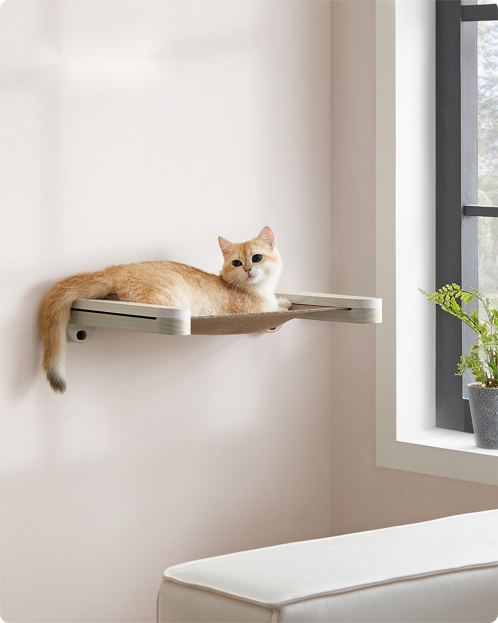FEANDREA Katzen-Kletterwand, Kratzbaum Clickat Katzen-Hängematte platzspare günstig online kaufen