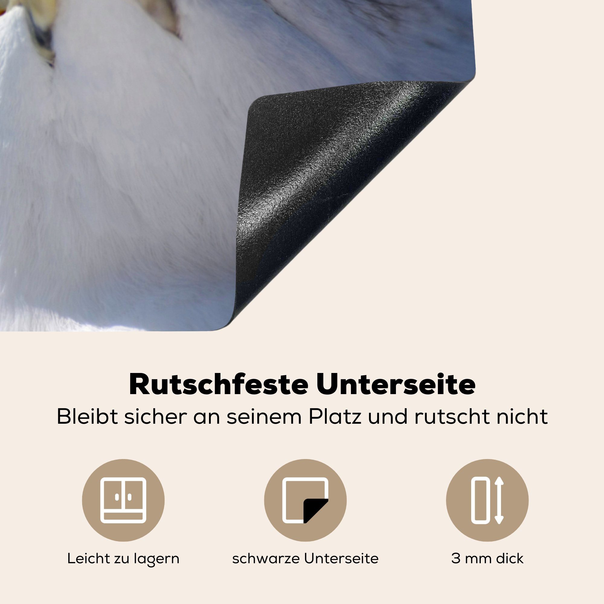 MuchoWow Herdblende-/Abdeckplatte Möwe - Vogel cm, Ceranfeldabdeckung (1 81x52 tlg), küche, Schutz Blau, für - die Induktionskochfeld Vinyl