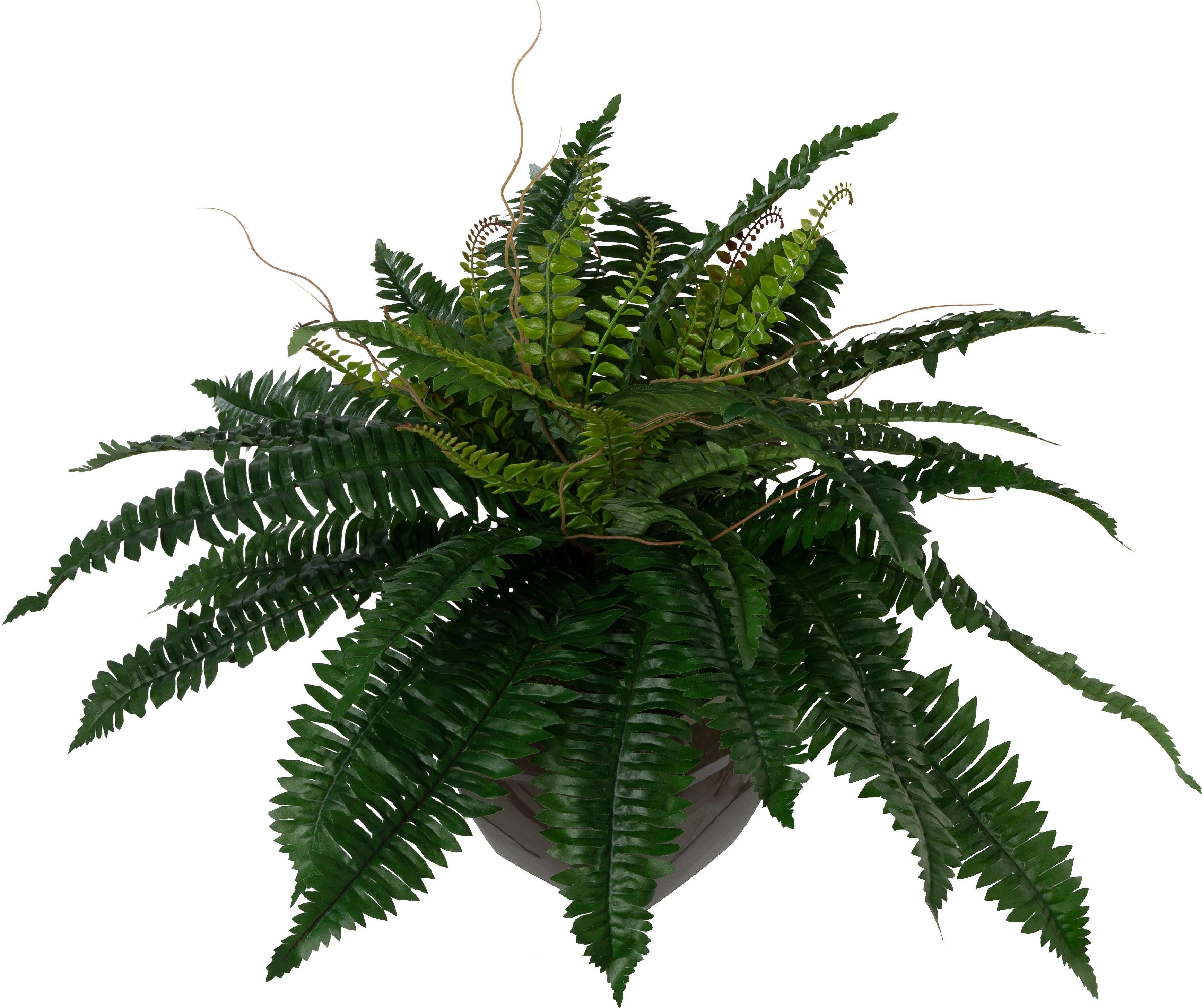 Kunstpflanze, Höhe Creativ 55 cm green,