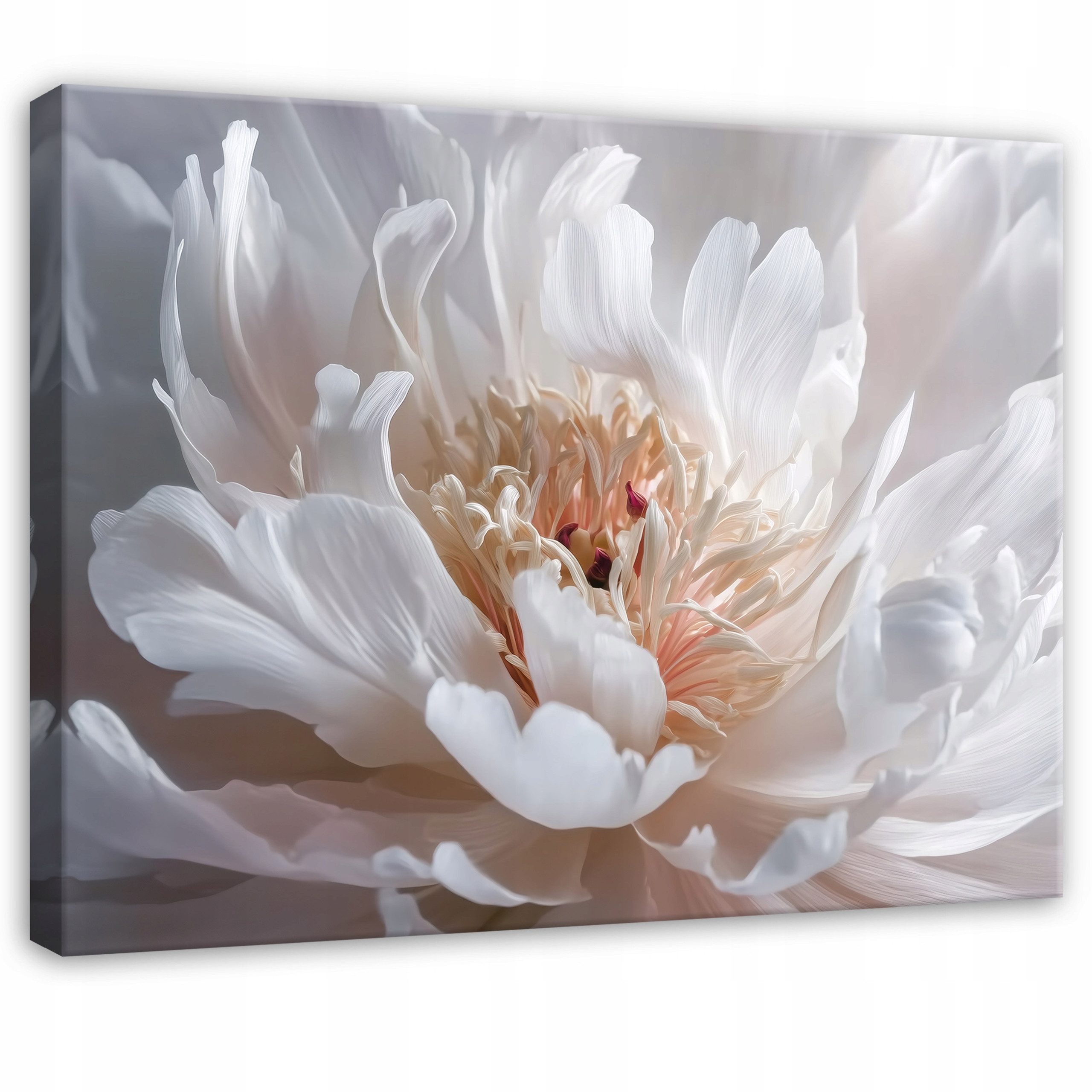 Wallarena Leinwandbild Blumen mit Pfingstrosenblüte in Weiß im 3D-Design für Wohnzimmer, Blumen (1 St), mit Blütenblättern mit Holzrahmen mit Aufhängevorrichtung 40x30cm