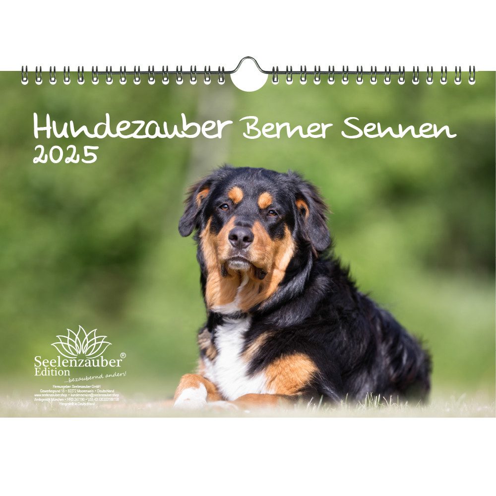 Seelenzauber Wandkalender Hundezauber Berner Sennen DIN A4 Kalender für 2025 Welpen