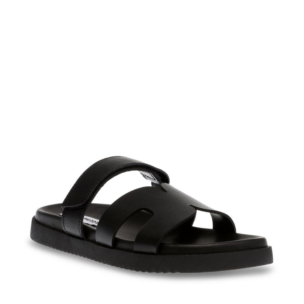STEVE MADDEN Steve Madden - Missile - Schwarz Pantolette günstig online kaufen