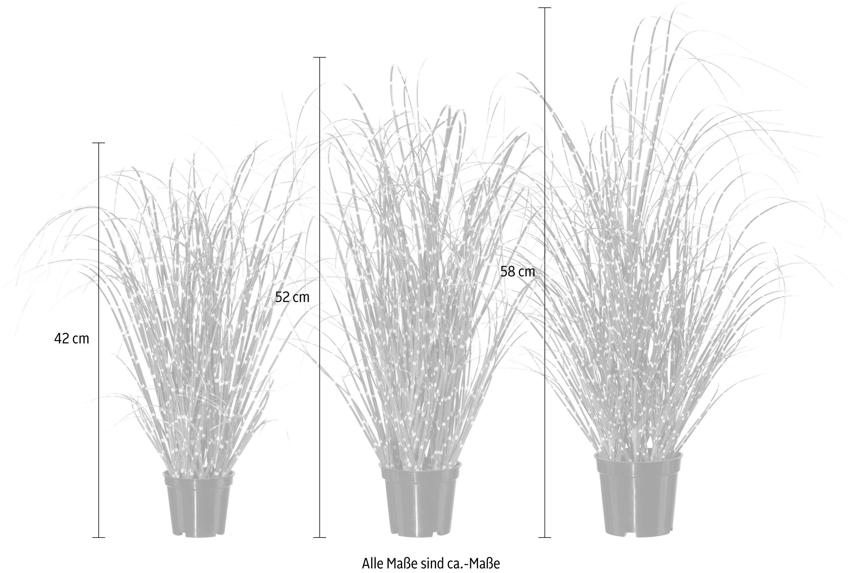 Kunstgras Miscanthus, Creativ green