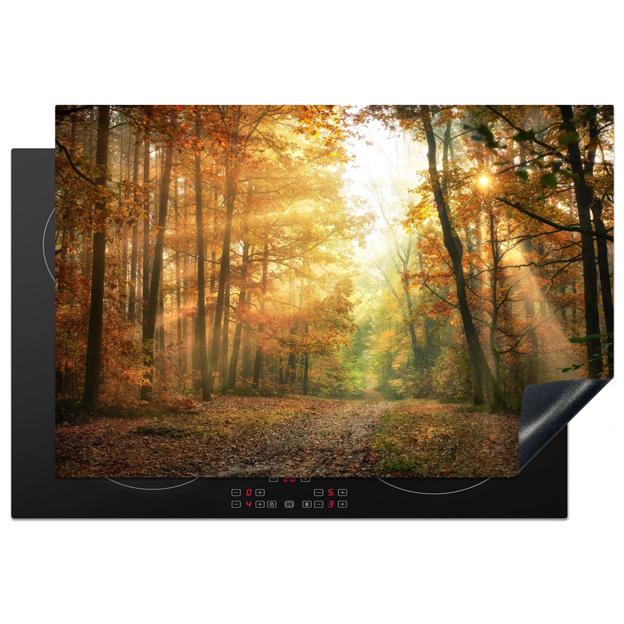 MuchoWow Herdblende-/Abdeckplatte Wald - Ceranfeldabdeckung, (1 77x51 für - Herbst Landschaft - Arbeitsplatte - cm, Sonne - - Natur Vinyl, tlg), Bäume küche Laub