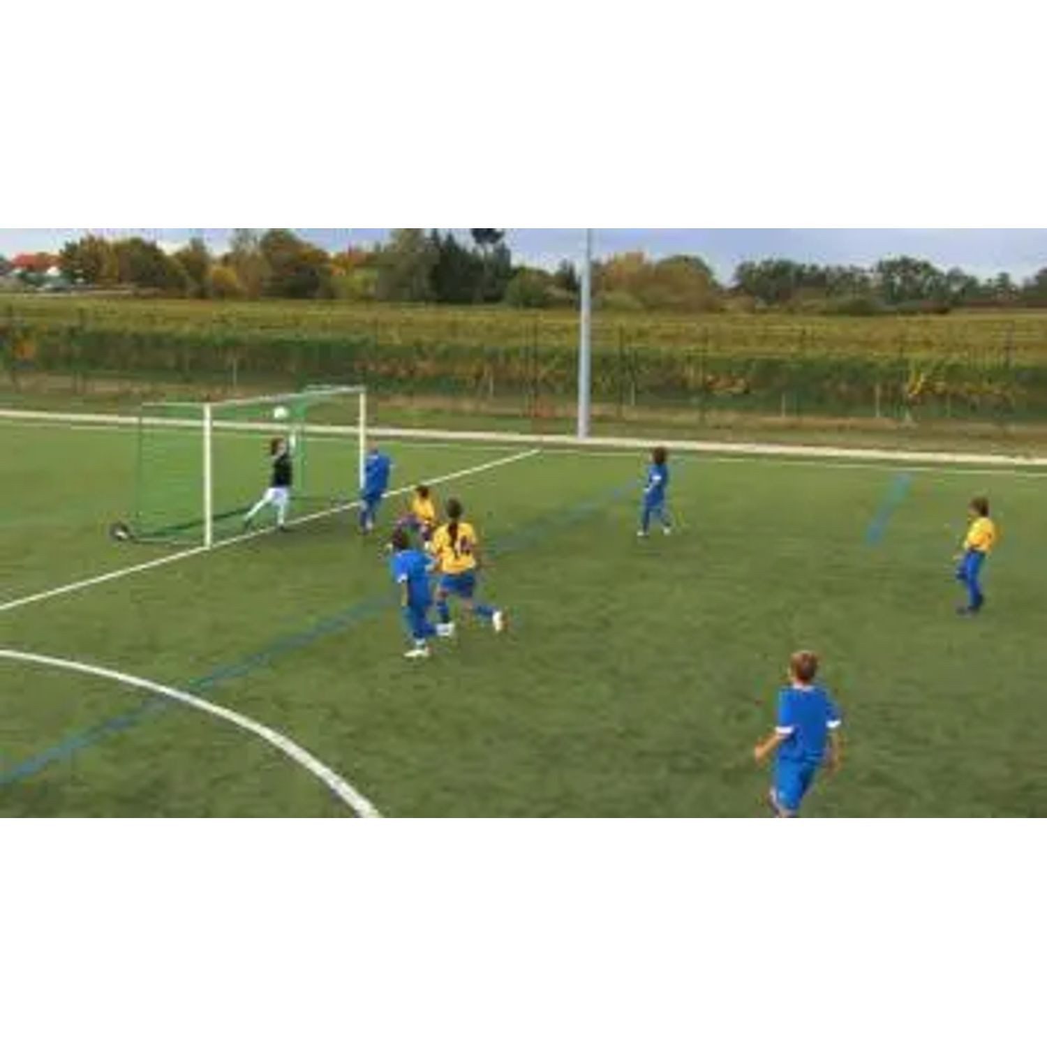 Alexander Herrmann DVD 20 Dribbel-Tricks - Fußball-Finten für Kids