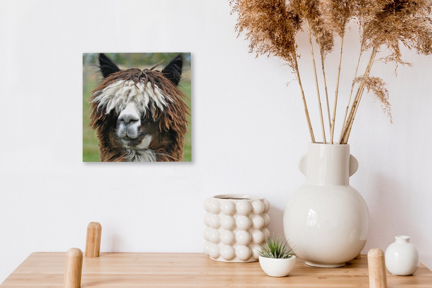 OneMillionCanvasses® Leinwandbild Alpaka - (1 St), Wohnzimmer Fell Bilder Leinwand - für Schlafzimmer Braun