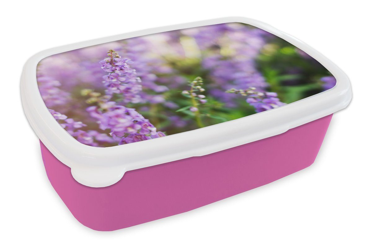 MuchoWow Lunchbox Nahaufnahme von ganzem Lavendel in einem Feld, Kunststoff, (2-tlg), Brotbox für Erwachsene, Brotdose Kinder, Snackbox, Mädchen, Kunststoff rosa