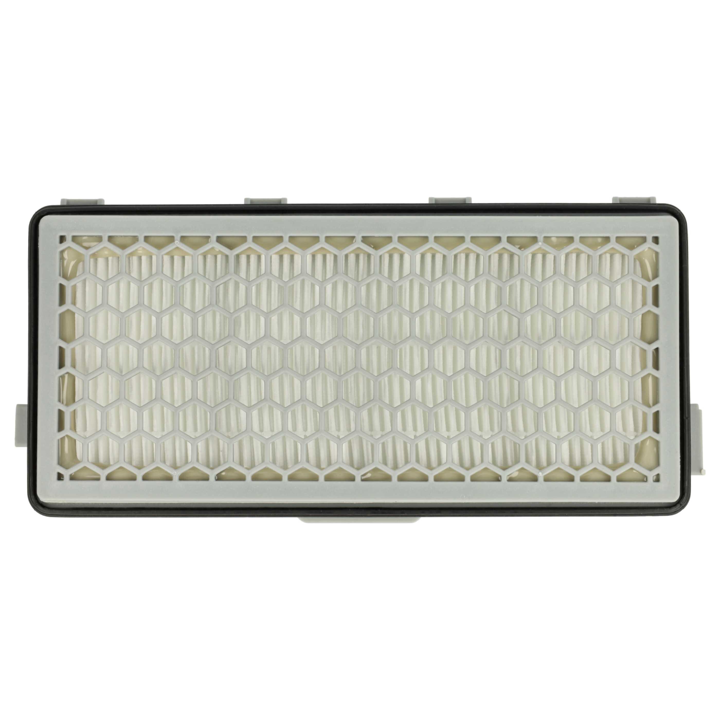 2 Filtres HEPA Pour Aspirateurs Miele S8340 EcoLine, S8310, S8370, Etc. - Neufs, Lot De 2
