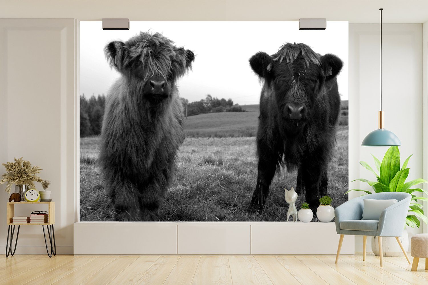 (6 Vinyl Natur Schottische Tapete MuchoWow Fototapete - Highlander Grün Schlafzimmer, Wohnzimmer, für Gras, bedruckt, Wallpaper Kinderzimmer, Kühe St), - Matt, - -