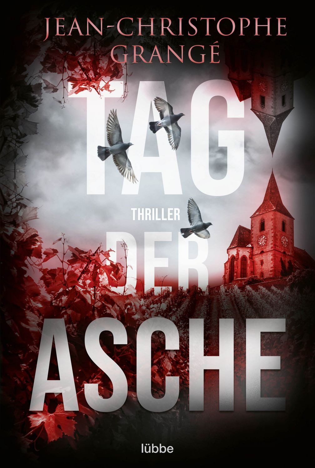 Tag der Asche / Jean-Christophe Grangé