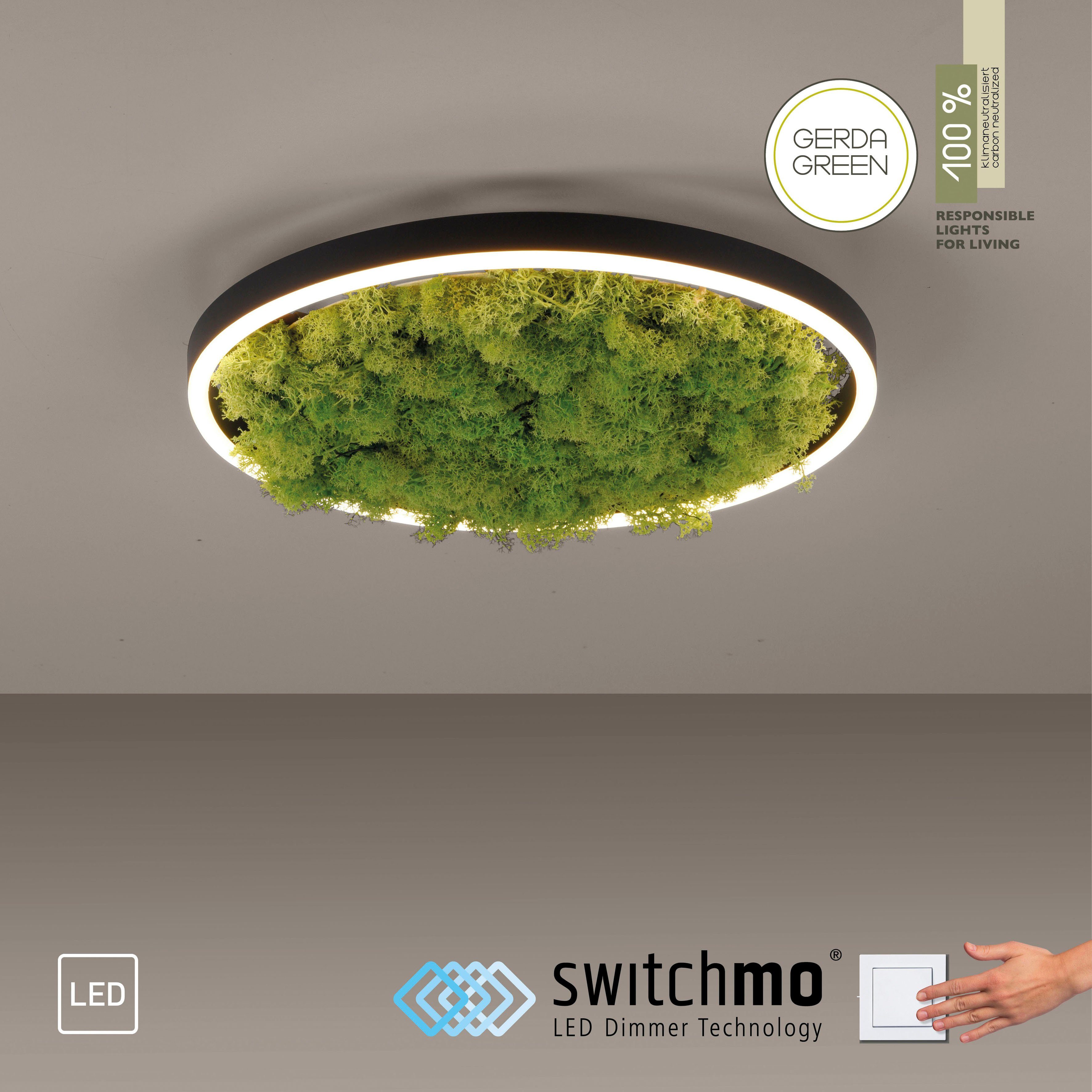 JUST LIGHT Deckenleuchte GREEN RITU, LED fest integriert, Warmweiß,  3-Stufen Dimmung durch Switchmo-Technologie