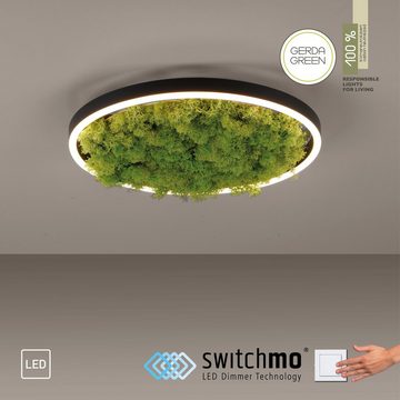 JUST LIGHT Deckenleuchte GREEN RITU, LED fest integriert, Warmweiß