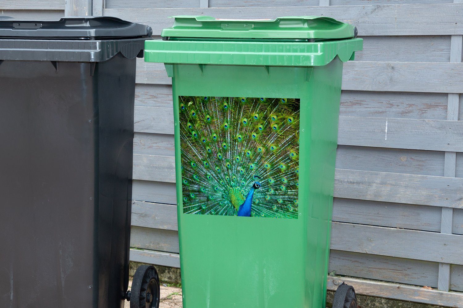 Sticker, Abfalbehälter blau-grünem Gefieder (1 mit St), Pfau Wandsticker Mülltonne, MuchoWow Mülleimer-aufkleber, Container,