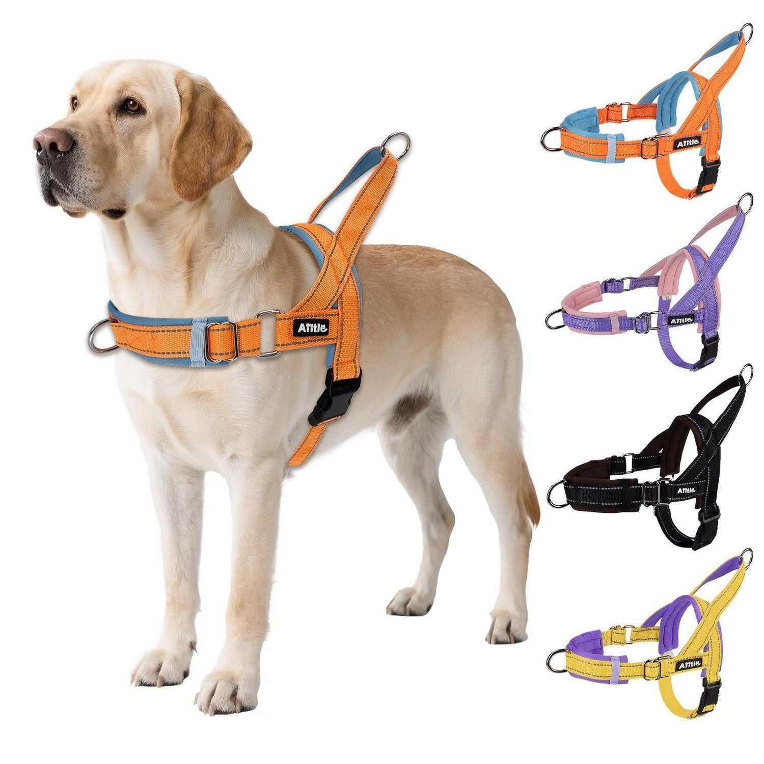 LuxusKollektion Hunde-Sicherheitsgeschirr Hundegeschirr Anti-Zug orange-blau XXS