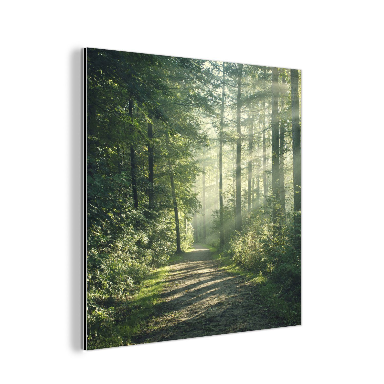 MuchoWow Metallbild Wald - Weg - Sonne - Bäume - Grün - Natur, (1 St), Alu-Dibond-Druck, Gemälde aus Metall, Aluminium deko