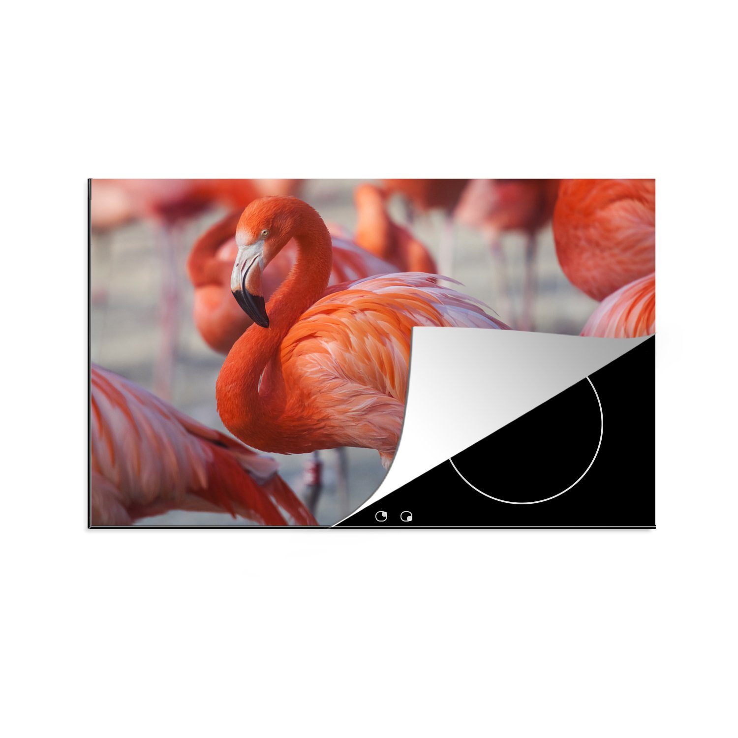 für Ceranfeldabdeckung, Arbeitsplatte MuchoWow Vogel (1 Flamingo - Tiere küche tlg), - Rosa, cm, 81x52 Herdblende-/Abdeckplatte Vinyl, -