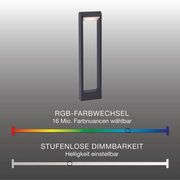 Paul Neuhaus Smarte LED-Leuchte LED Wegelampe Q - ALBERT Smart Home RGB-W, Smart Home, RGB-Farbwechsel, Memoryfunktion, mit Leuchtmittel, Gartenlampe Pollerleuchte Works with Alexa