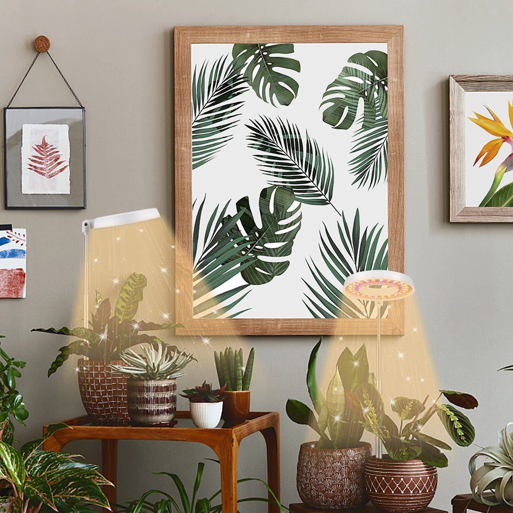 Rosnek Pflanzenlampe Halo, Vollspektrum, Auto Timer, für Zimmerpflanzen Top günstig online kaufen