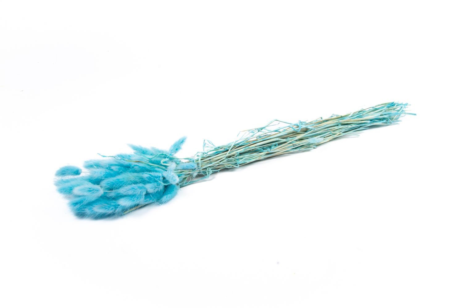 Trockenblume Lagurusgras getrocknet BORKA, Bund, türkis, 55-75cm, Ø12cm, INNA-Glas
