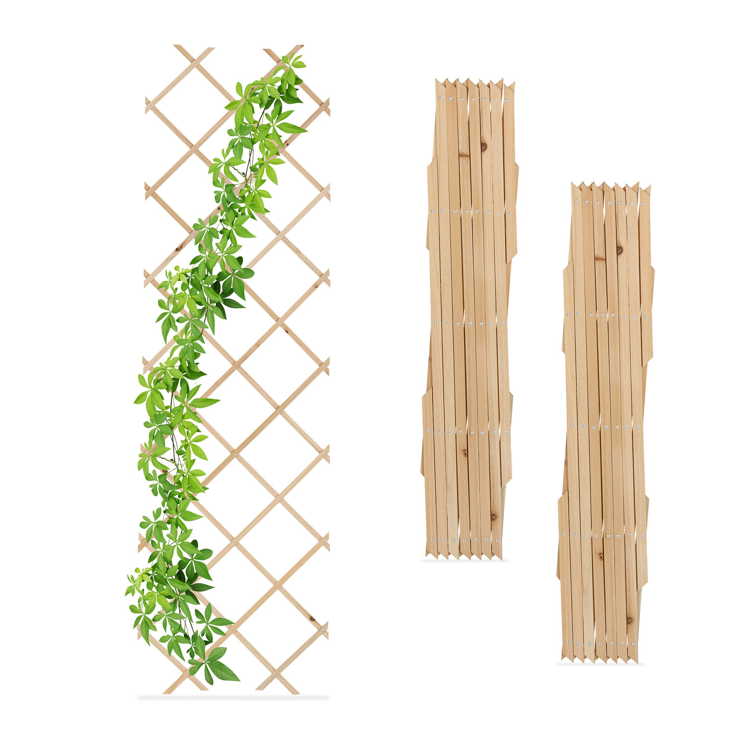 Rankgitter Ausziehbares Rankgitter Holz 3er Set