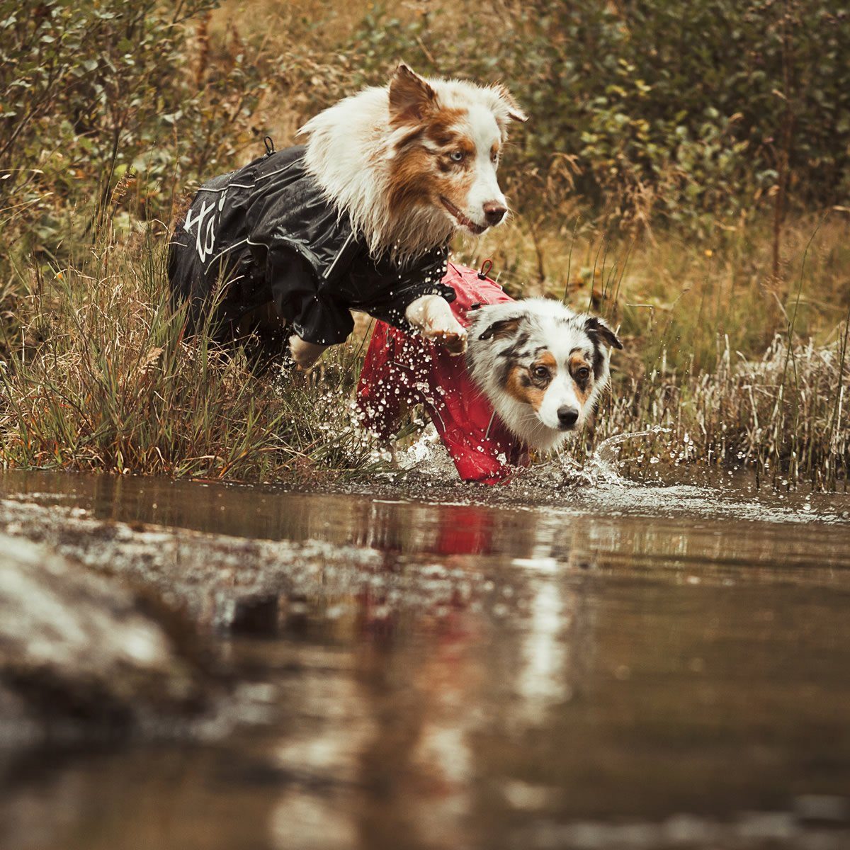 HURTTA Hundeoverall Outdoor Overall rot