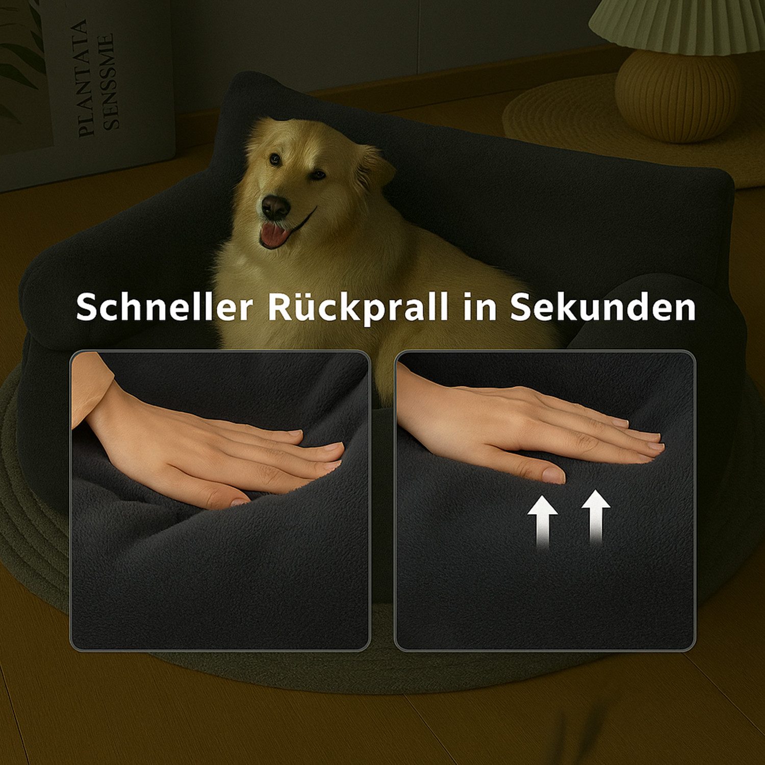 Roxlin Tierbett Hundebett Kleines Hundesofa Flauschig günstig online kaufen