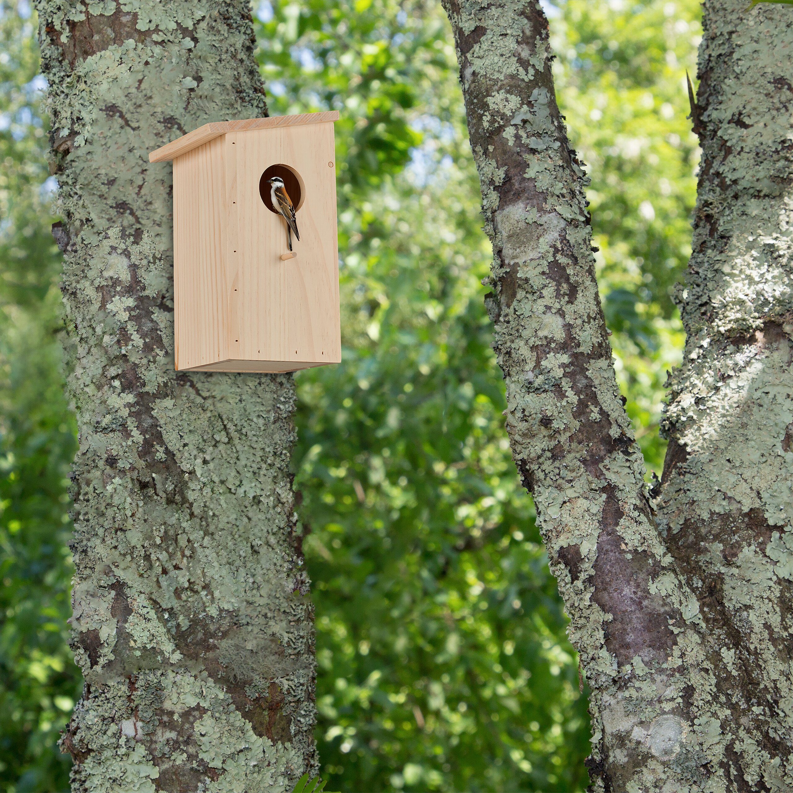 relaxdays Vogelhaus Aufklappbarer Nistkasten