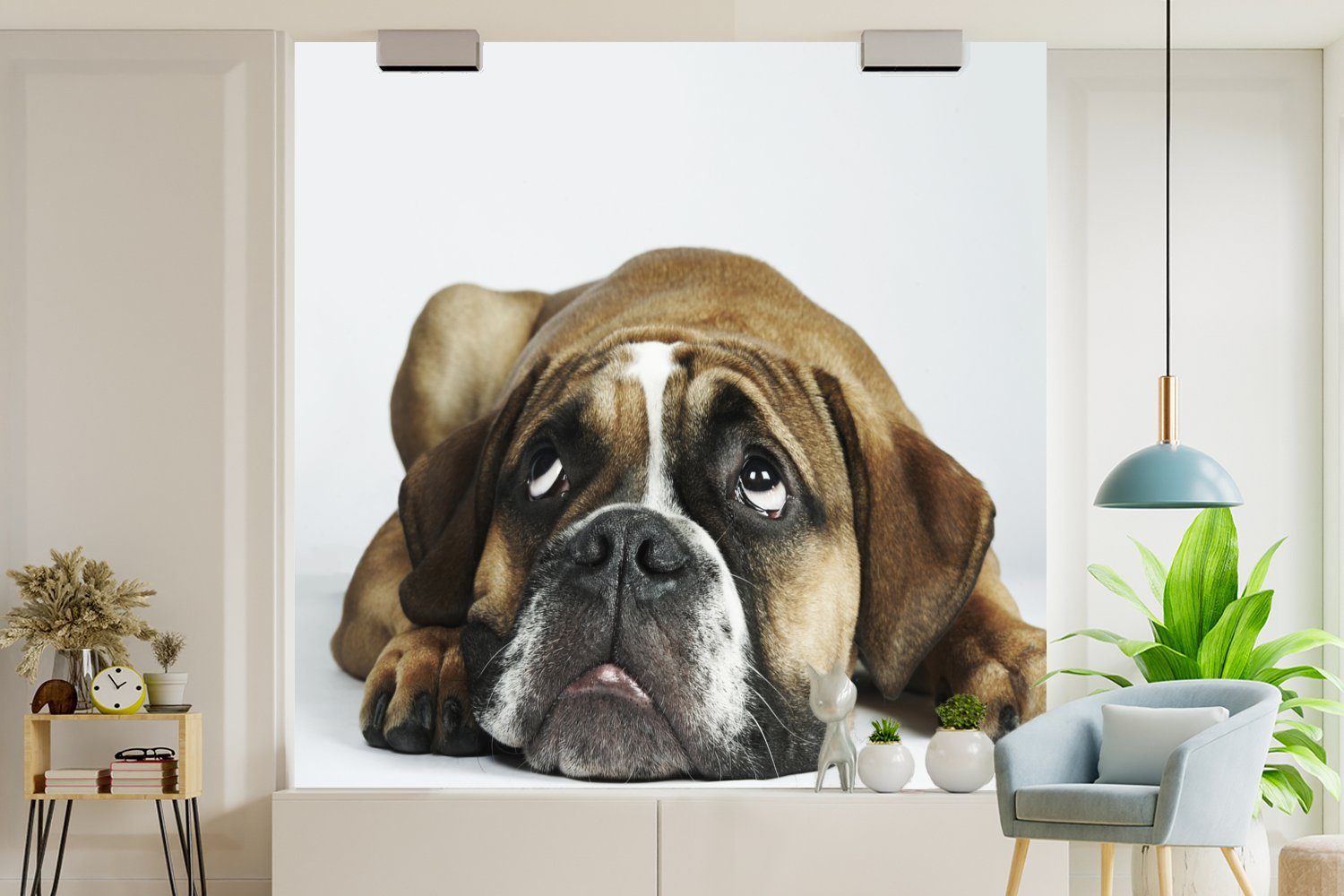 Schlafzimmer, Weiß, Wandtapete Tapete Wohnzimmer oder St), MuchoWow bedruckt, Vinyl Haustiere - Matt, für Hund - Fototapete (5