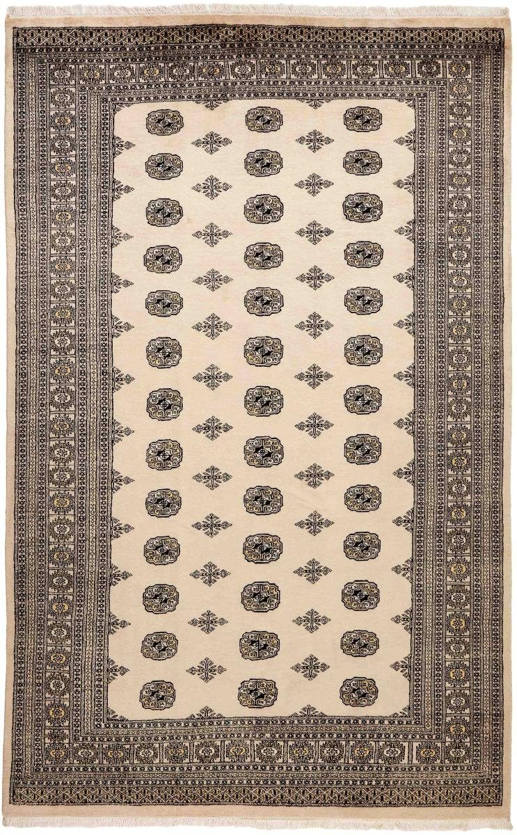 Orientteppich Pakistan Buchara 2ply 204x327 Handgeknüpfter Orientteppich, Nain Trading, rechteckig, Höhe: 8 mm