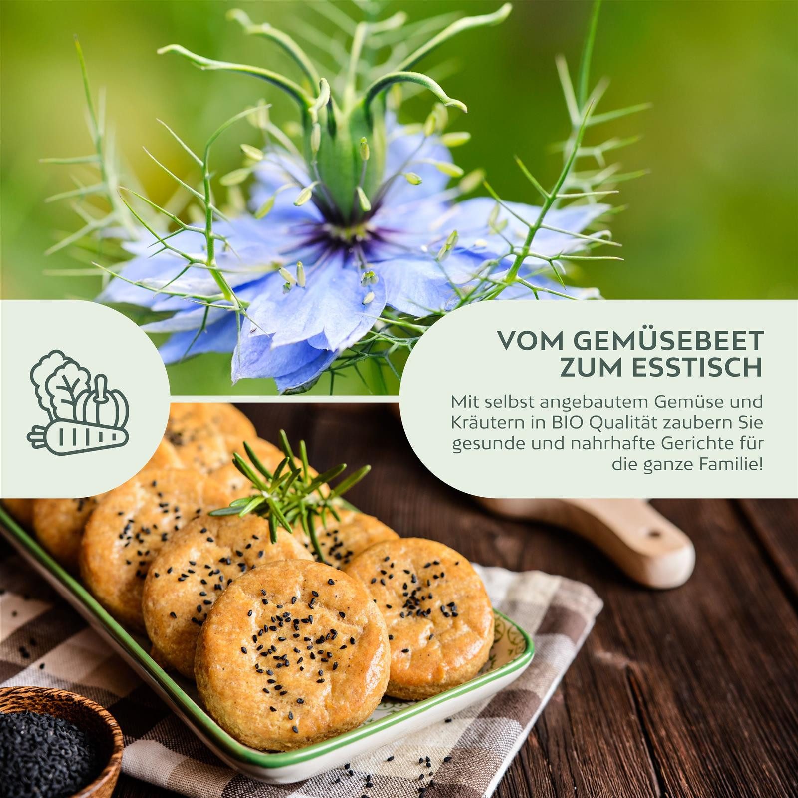 Growgreens Kräutersamen BIO Schwarzkümmelsamen - Kräuter Saatgut aus bio. Anbau (150 Korn)