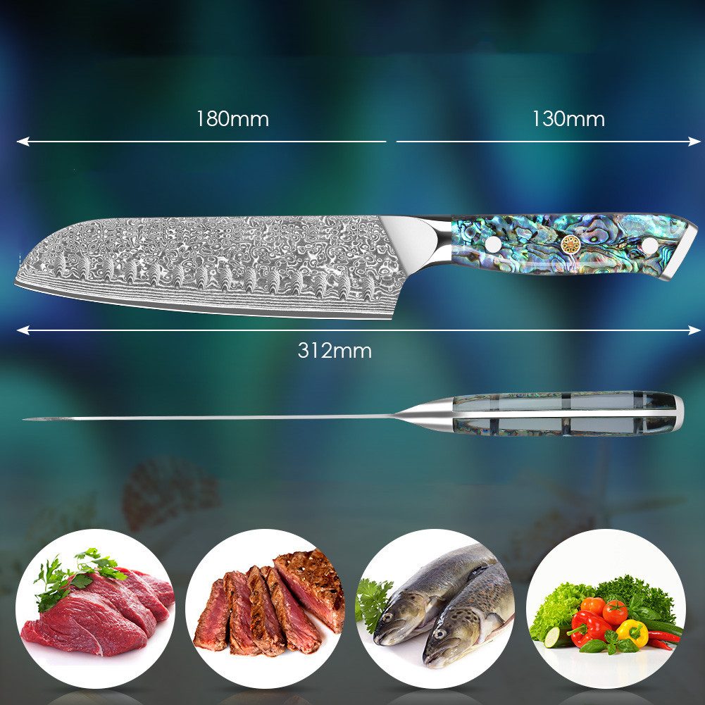 KEENZO Damastmesser Santoku-Messer aus 67 Lagen VG10 Damaststahl Abalone-Muschel Griff