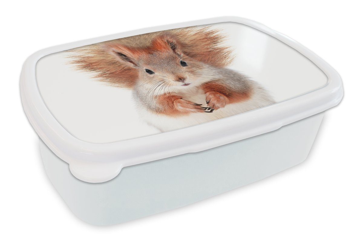 MuchoWow Lunchbox Eichhörnchen - Tiere - Natur - Orange - Weiß, Kunststoff, (2-tlg), Brotdose Schule oder Arbeit, Brotbox für Kinder und Erwachsene