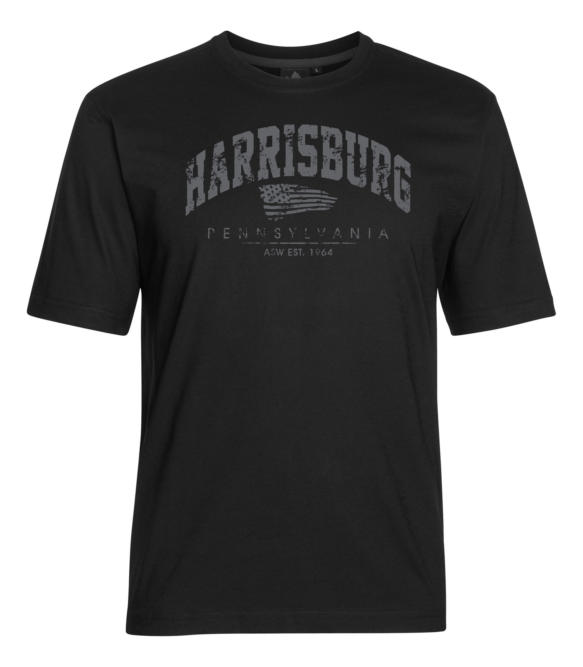 AHORN SPORTSWEAR T-Shirt HARRISBURG mit modischem günstig online kaufen