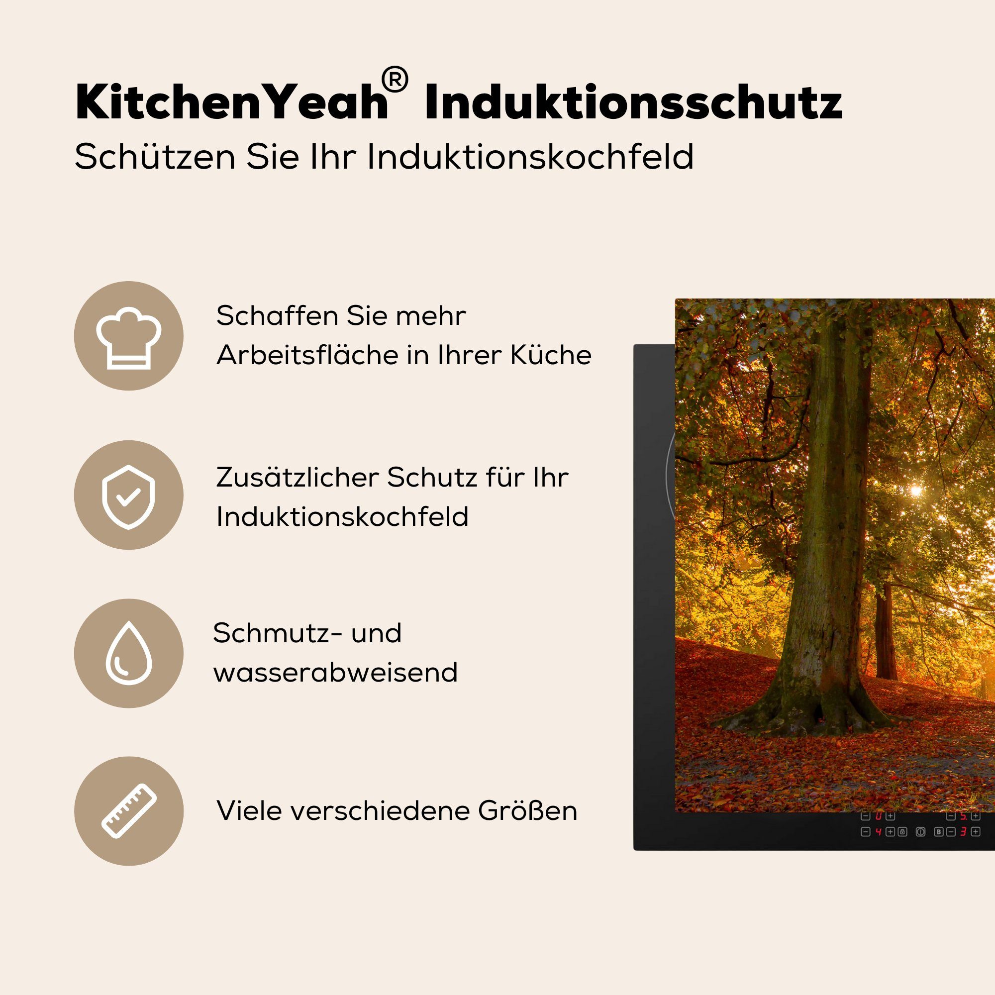 Wald, tlg), MuchoWow Schutz für küche, die Induktionskochfeld 81x52 - Sonne Herdblende-/Abdeckplatte Vinyl, Herbst cm, - Ceranfeldabdeckung (1