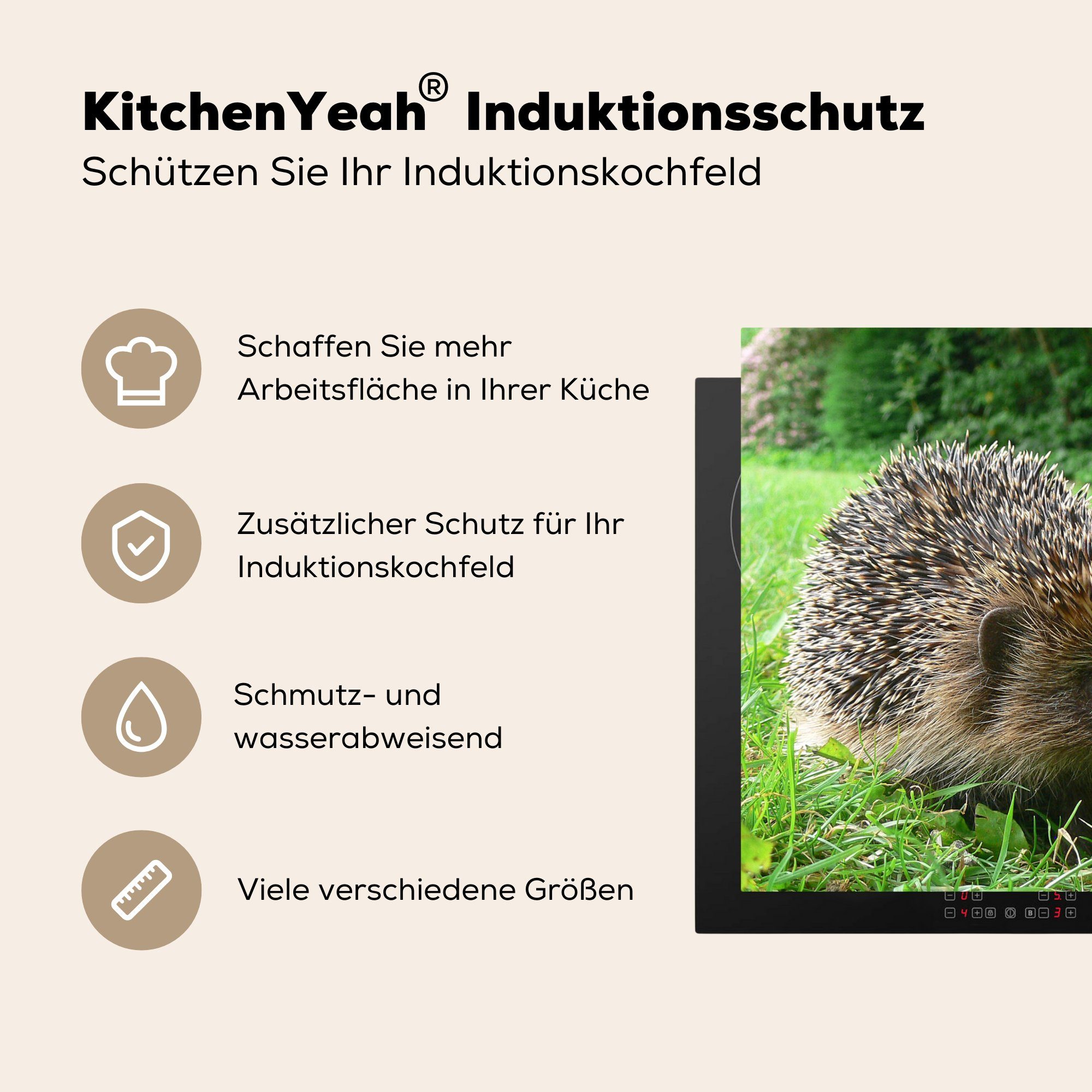 Vinyl, Igel - (1 Herdblende-/Abdeckplatte für Arbeitsplatte küche 78x78 Park, Ceranfeldabdeckung, - cm, MuchoWow Gras tlg),