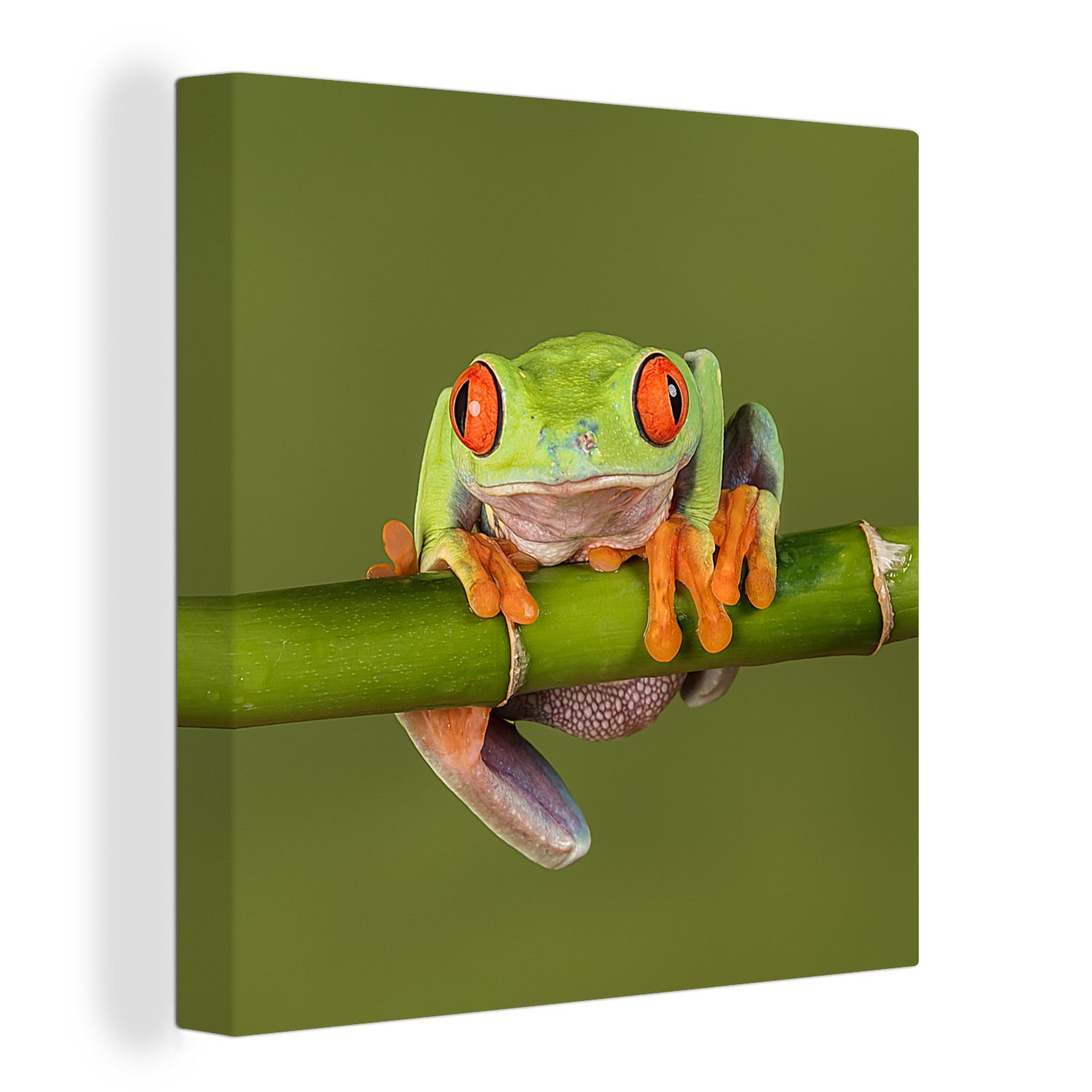 OneMillionCanvasses® Leinwandbild Frosch - Bambus - Grün, (1 St), Leinwand Bilder für Wohnzimmer Schlafzimmer