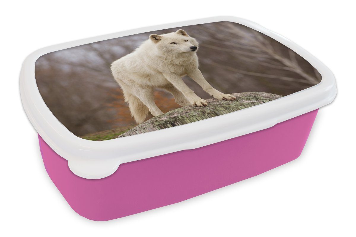 MuchoWow Lunchbox Wolf - Stein - Weiß, Kunststoff, (2-tlg), Brotbox für Erwachsene, Brotdose Kinder, Snackbox, Mädchen, Kunststoff rosa