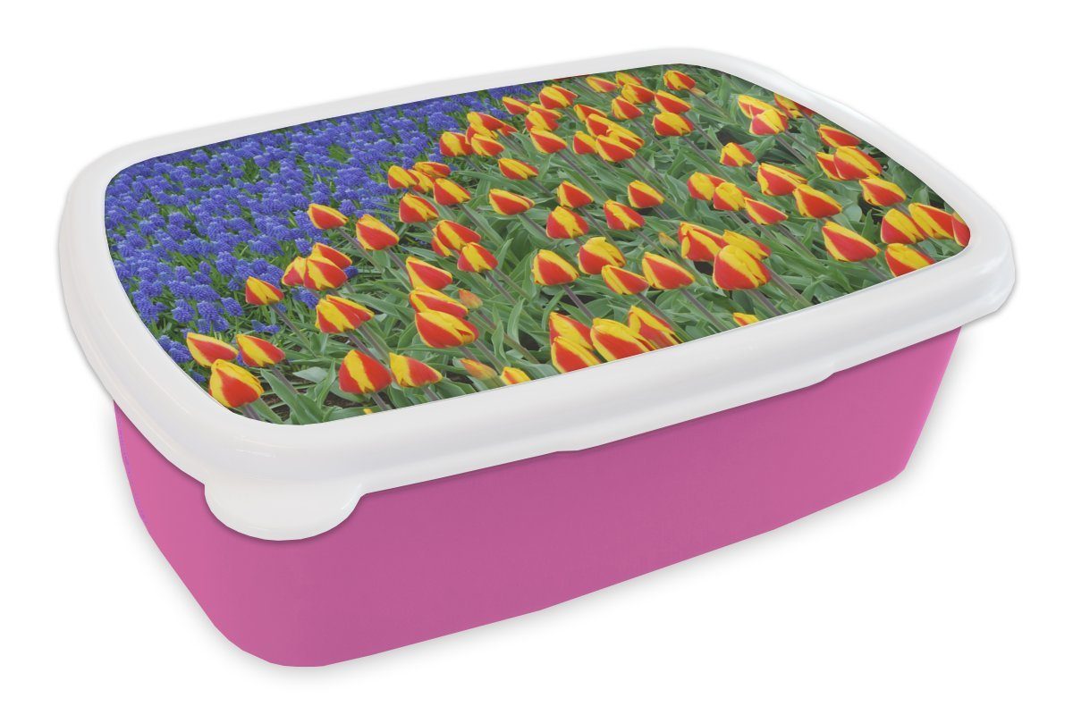 MuchoWow Lunchbox Tulpen und Traubenhyazinthen auf dem Keukenhof in den Niederlanden, Kunststoff, (2-tlg), Brotbox für Erwachsene, Brotdose Kinder, Snackbox, Mädchen, Kunststoff rosa | Lunchboxen