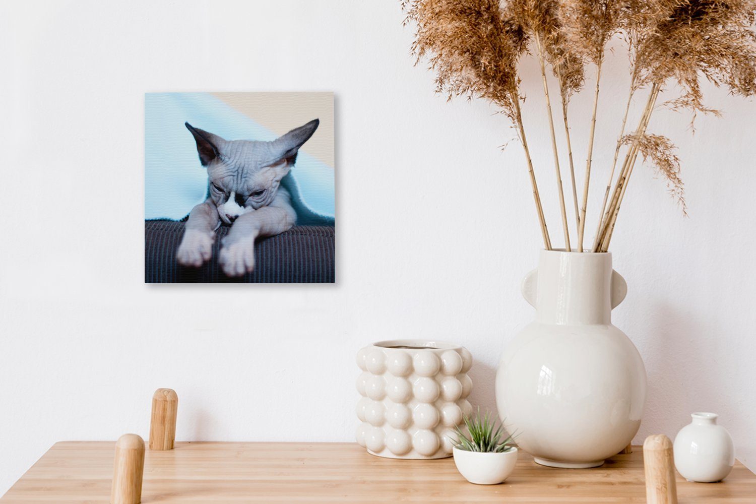 (1 schläfrige Schlafzimmer Wohnzimmer Sphynx-Katze Eine Leinwandbild St), OneMillionCanvasses® auf Bilder Leinwand dem Sofa, für