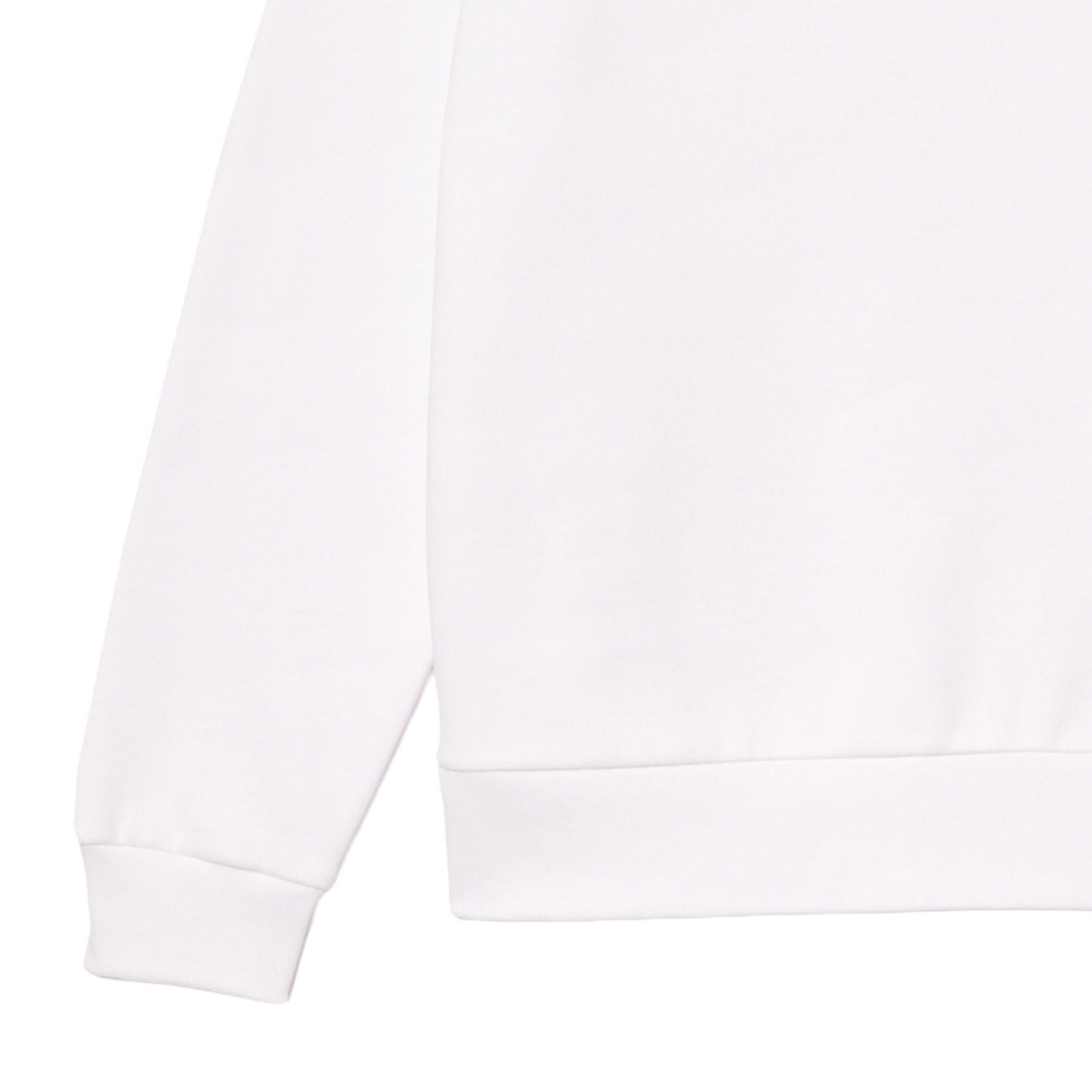 Lacoste Sweatshirt Herren Sweatshirt Baumwolle