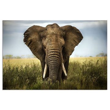 WallSpirit Leinwandbild "Elefant - Afrika" - XXL Wandbild, Leinwandbild geeignet für alle Wohnbereiche