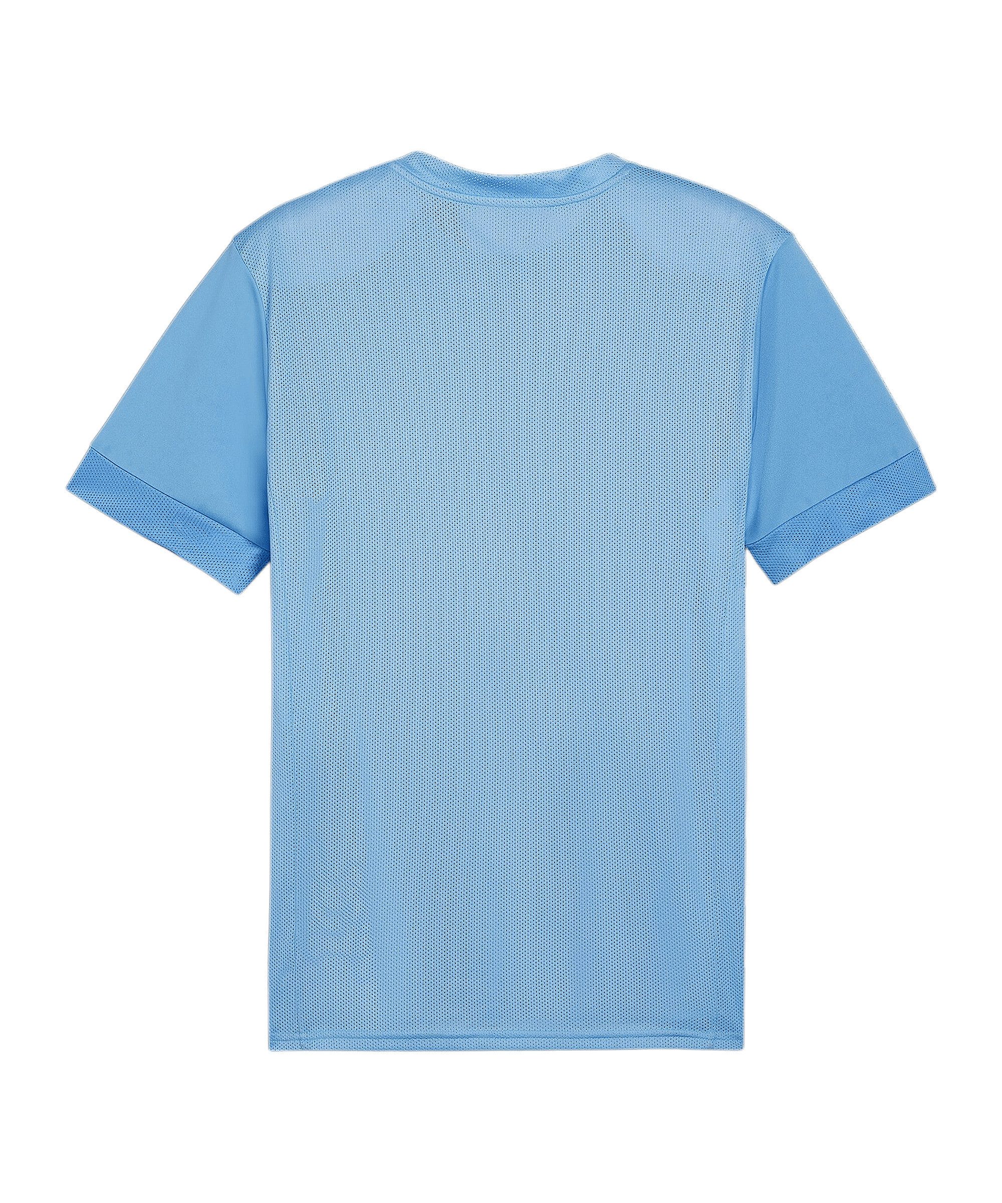 PUMA Fußballtrikot PUMA teamGOAL Matchday Trikot günstig online kaufen