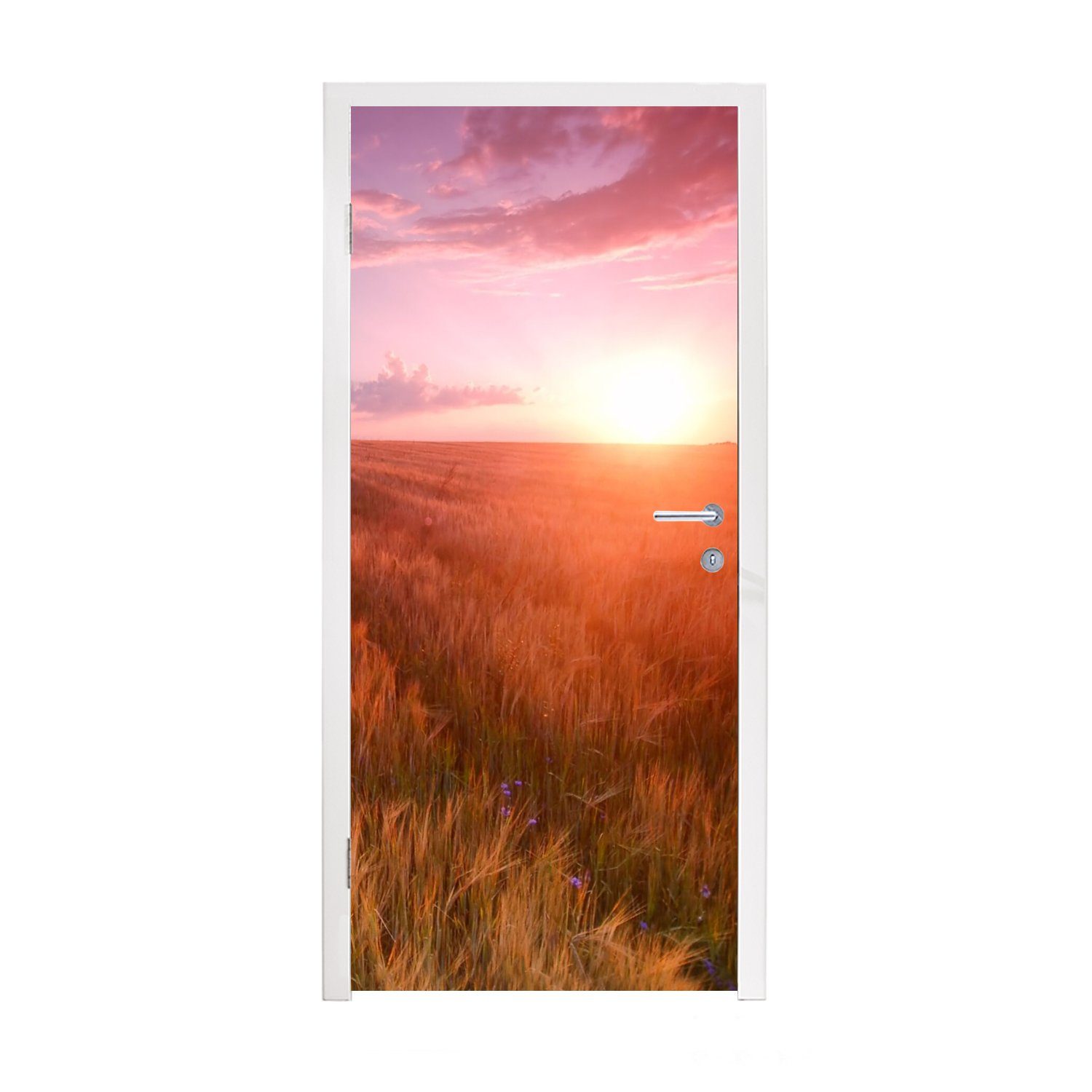 MuchoWow Türtapete Wiese - Sonne - Abend - Landschaft, Matt, bedruckt, (1 St), Fototapete für Tür, Türaufkleber, 75x205 cm