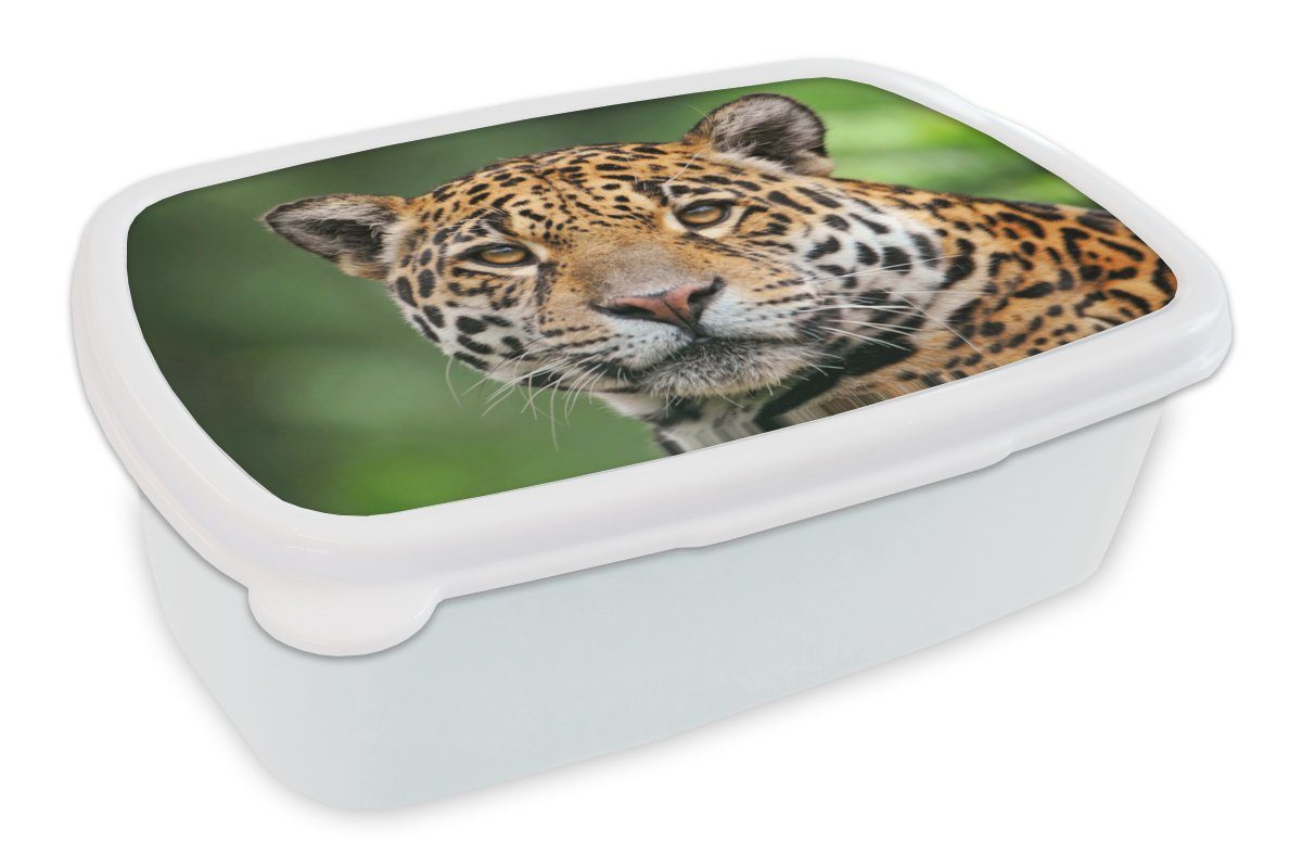 MuchoWow Lunchbox Leopard - Natur - Gefleckt, Kunststoff, (2-tlg), Brotbox für Kinder und Erwachsene, Brotdose, für Jungs und Mädchen weiß