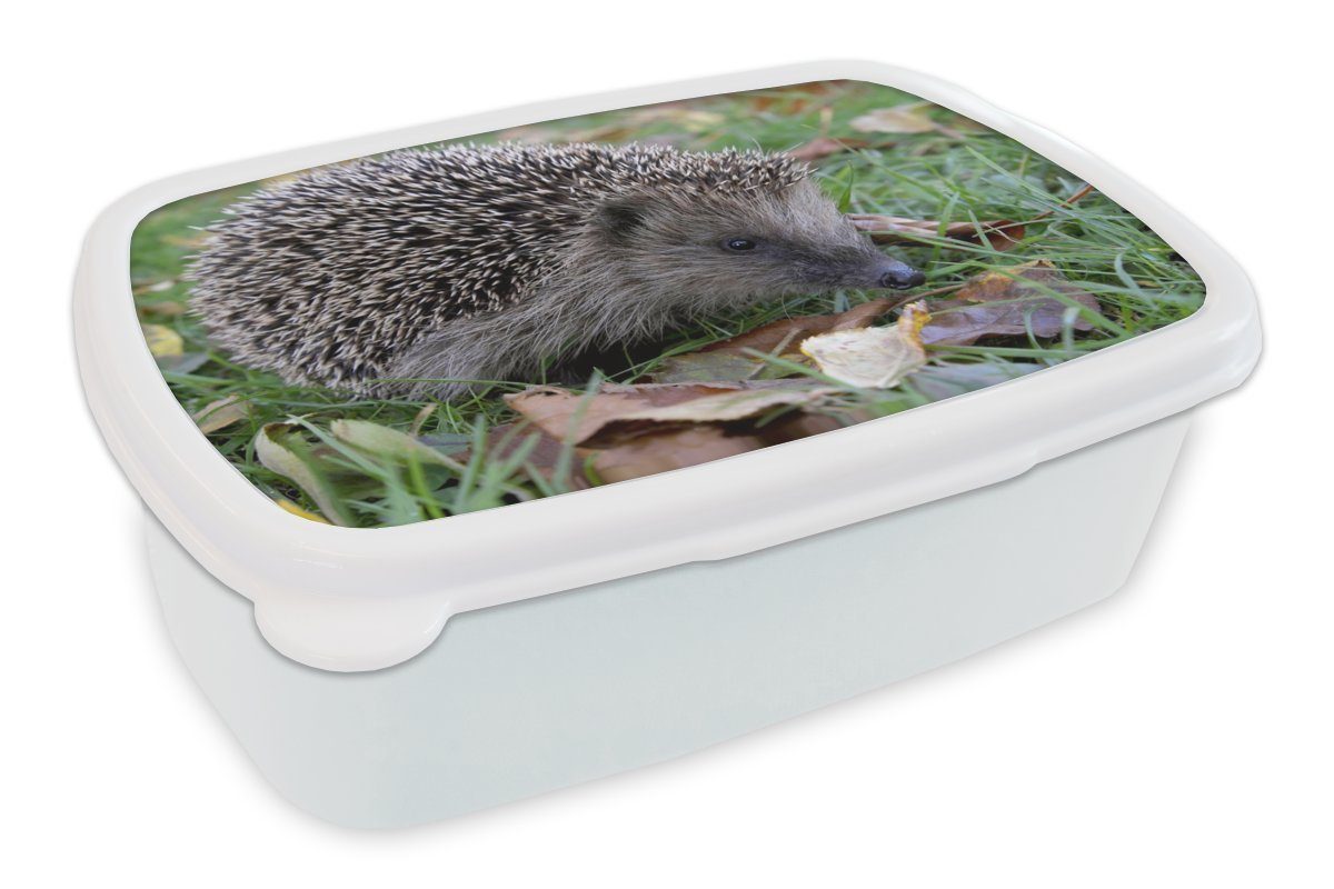 Brotbox Erwachsene, Gras, MuchoWow im Brotdose, und Igel Kunststoff, für für weiß Jungs (2-tlg), Lunchbox und Kinder Mädchen